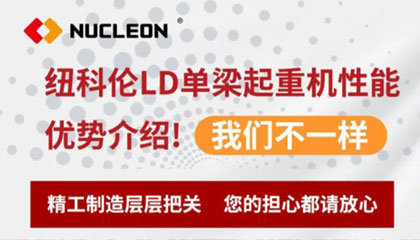 杏彩体育官网LD单梁起重机性能优势介绍！我们不一样